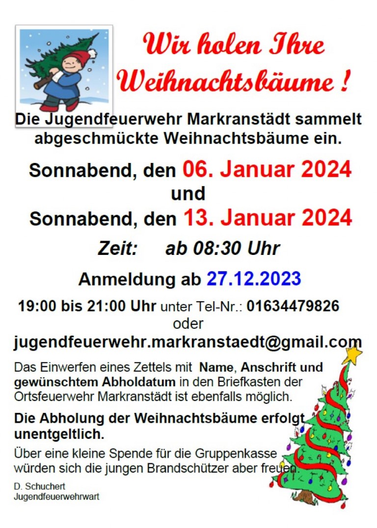 Wohin mit dem alten Weihnachtsbaum?