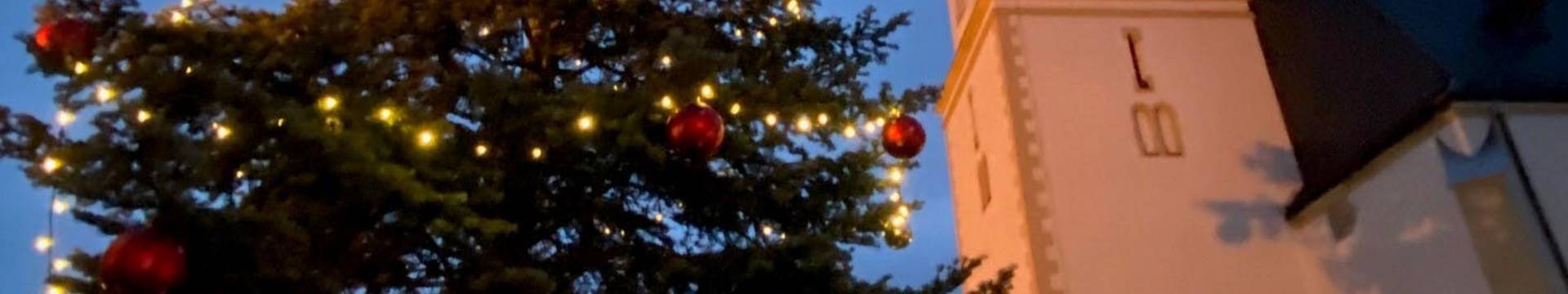weihnachtsbaum gesucht