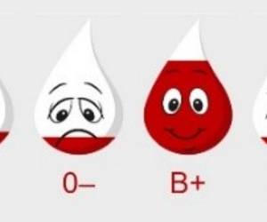Mitteilung Informationen DRK Blutspende 1