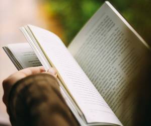 Buch buch