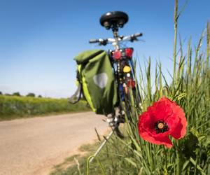 radweg pixabay