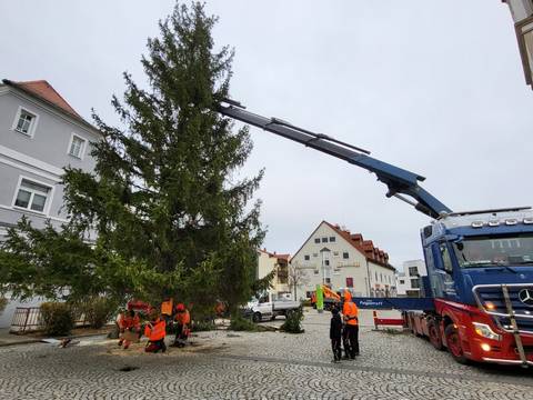 20231123 093119 mittel 