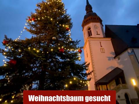 weihnachtsbaum gesucht