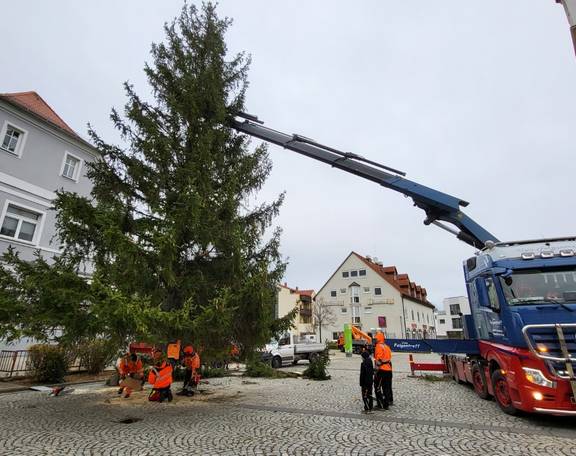 20231123 093119 (Mittel)